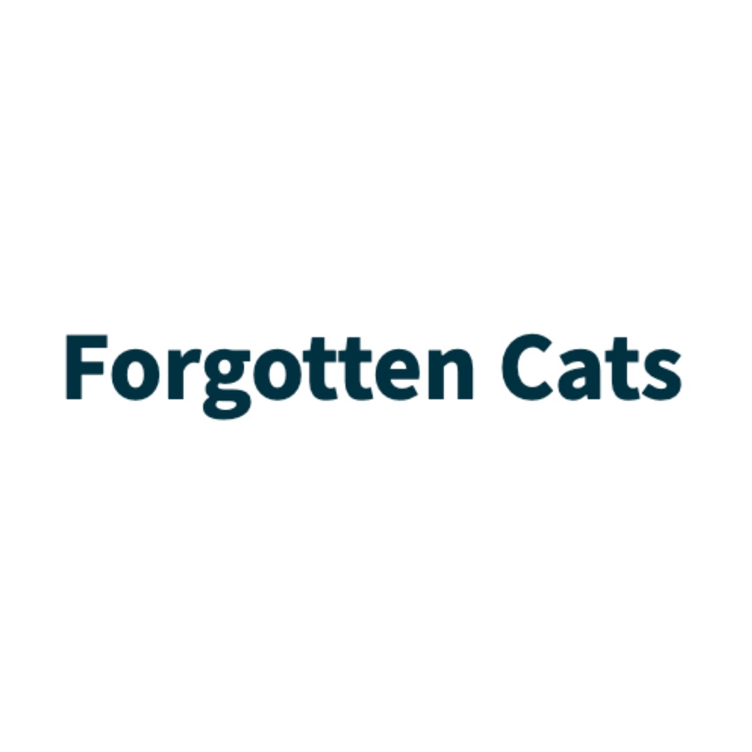 Forgotten Cats Forgotten Cats