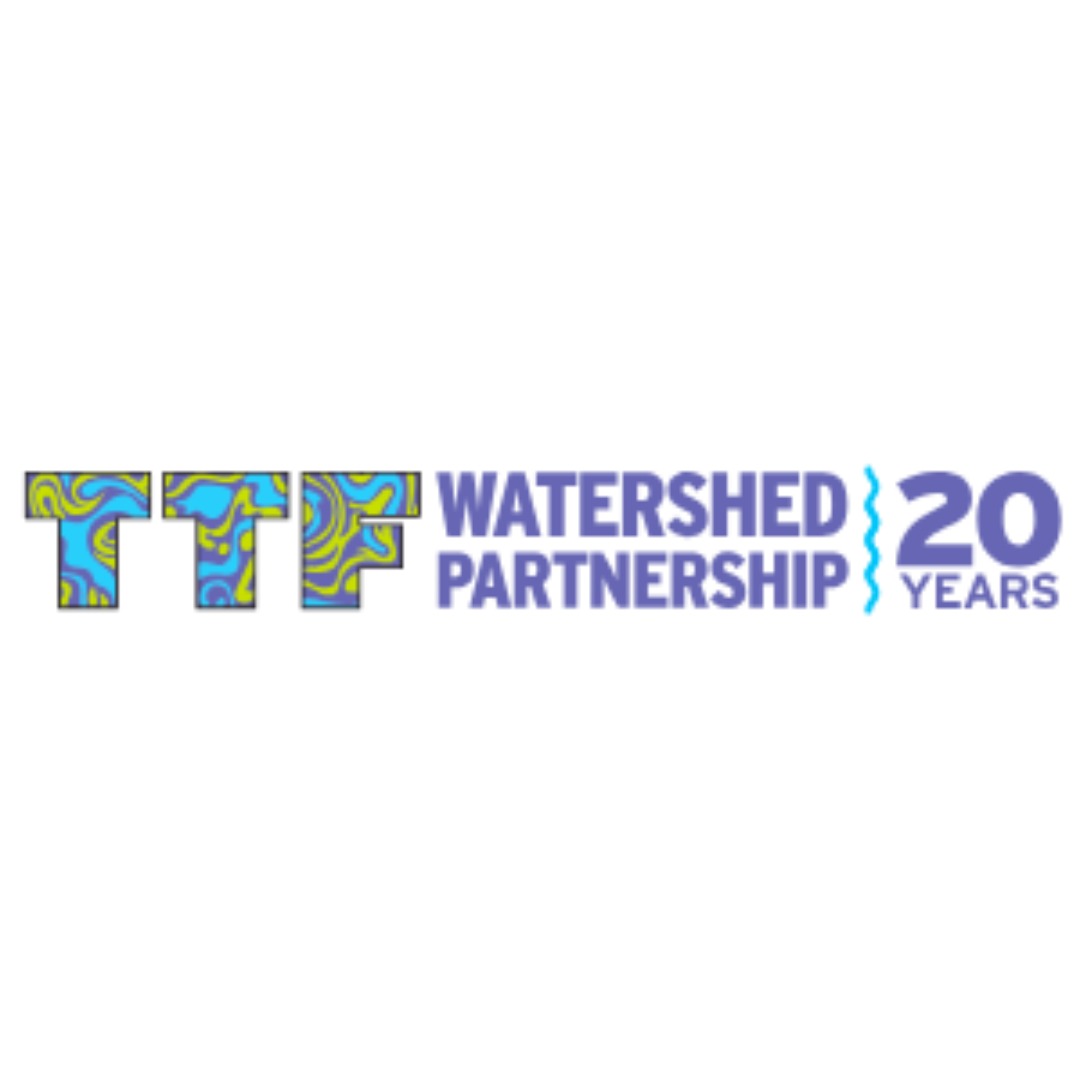 TTF Watershed TTF Watershed