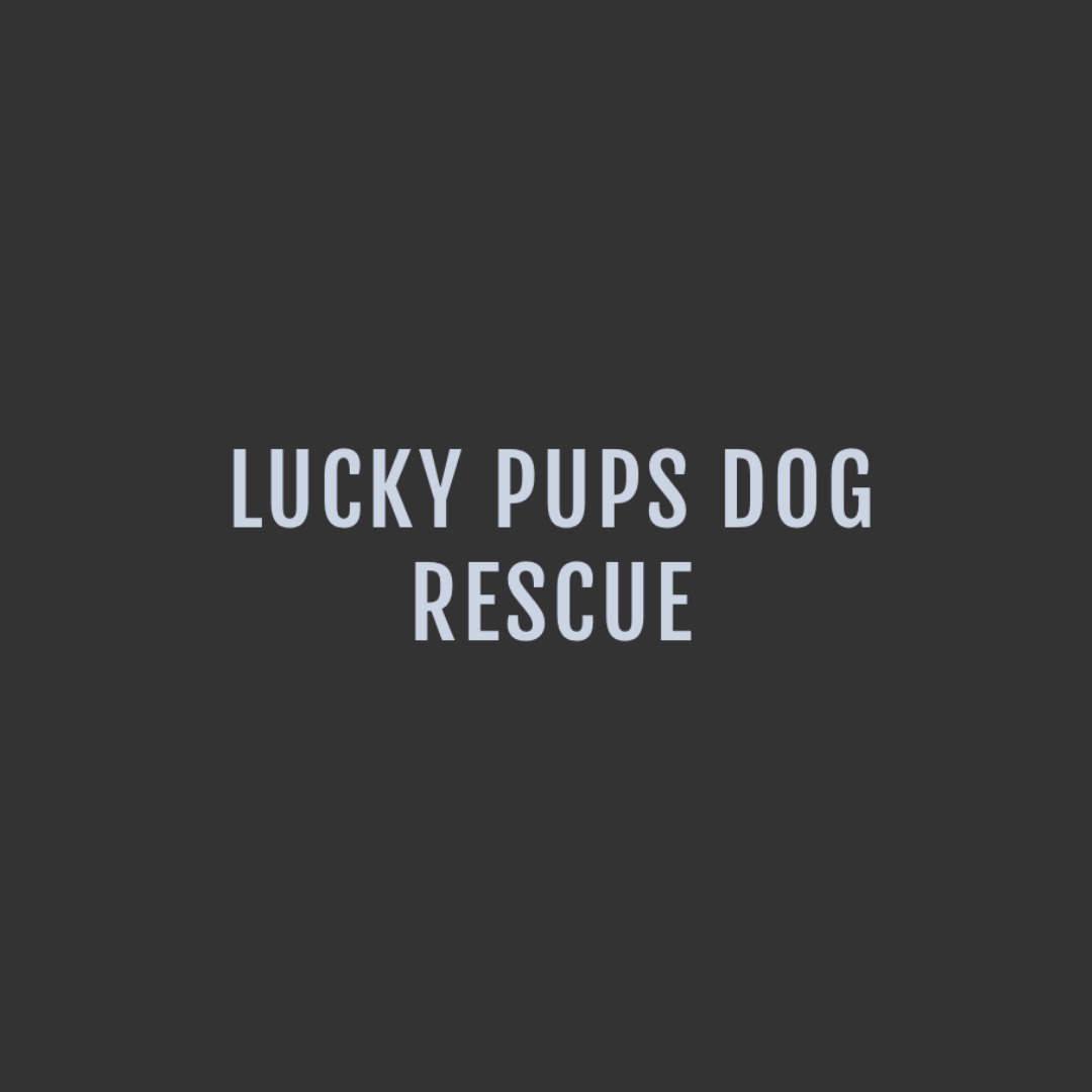 Lucky Pups Rescue Lucky Pups Rescue